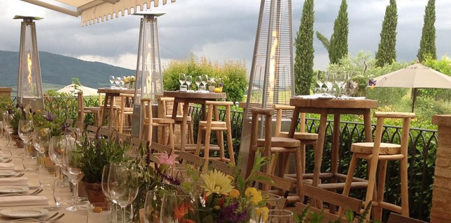 A view from the open dining area overlooking the vineyard