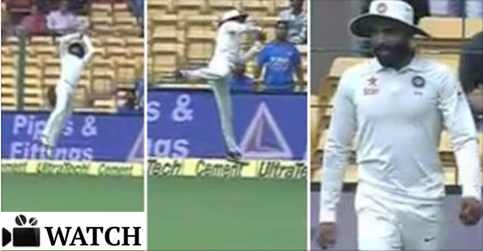 WATCH: Ravindra Jadeja grabs a stunner on the boundary to dismiss Mitchell Starc