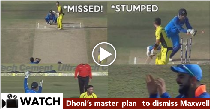 WATCH: MS Dhoni’s master-plan to dismiss Glenn Maxwell