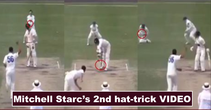 WATCH: Mitchell Starc takes second hat-trick in the same Sheffield Shield match