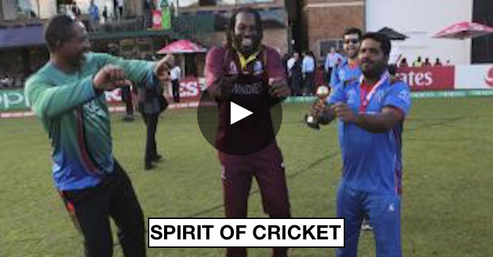 WATCH: Chris Gayle, Mohammad Shahzad dance to ‘champion’ song after Afghanistan wins the ICC World Cup Qualifiers 2018