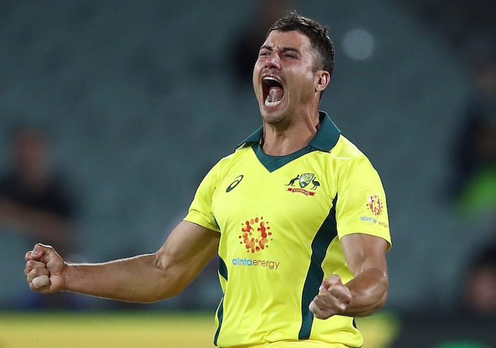 Marcus Stoinis celebration