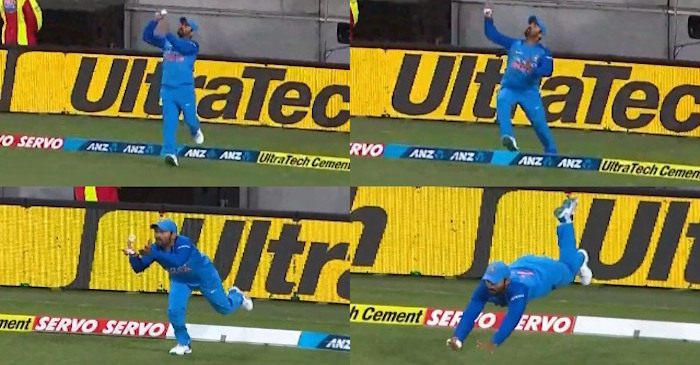 WATCH: Dinesh Karthik takes a blinder to dismiss Daryl Mitchell