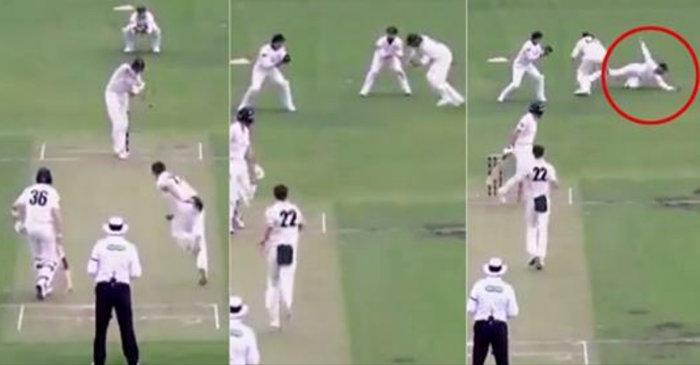 WATCH: Matthew Wade takes an extraordinary one-handed grab in the Sheffield Shield