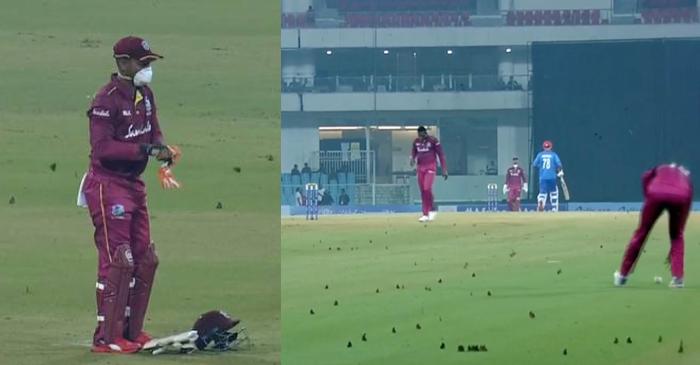 Huge swarms of moths force West Indies’ players to wear masks in Lucknow