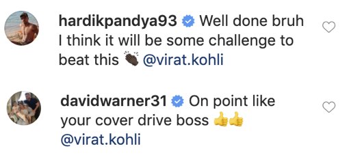 Hardik Pandya, David Warner, comment