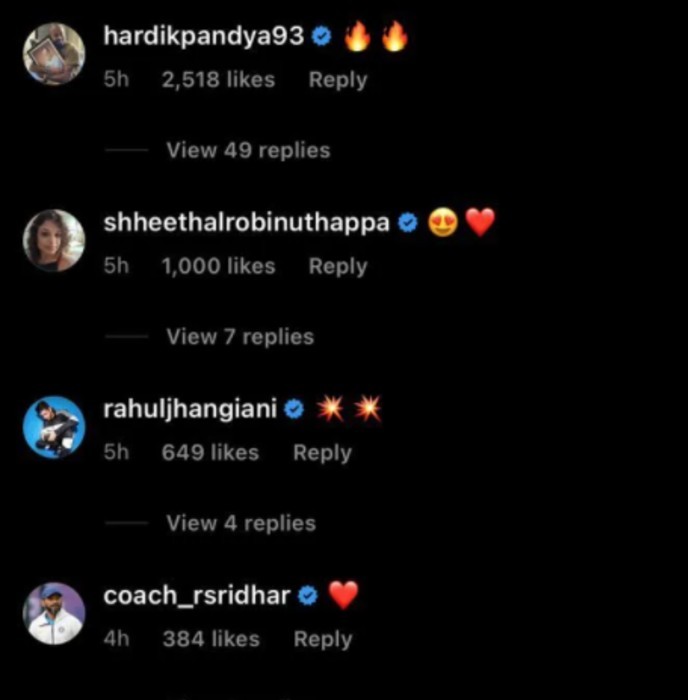 Hardik Pandya comments