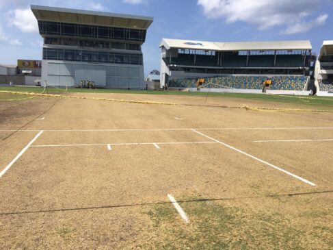 Kensington Oval's Pitch