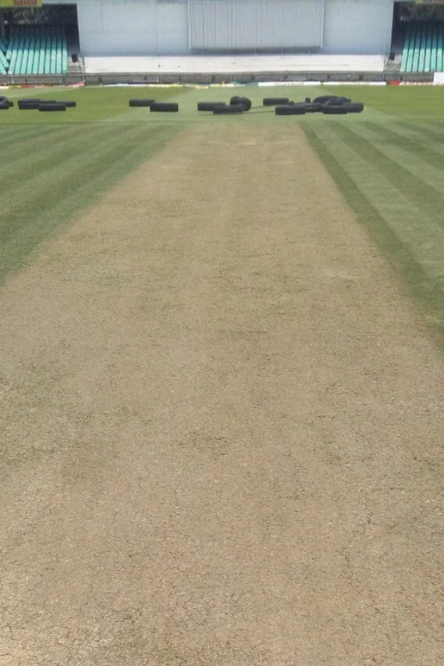 Kingsmead Stadium Pitch