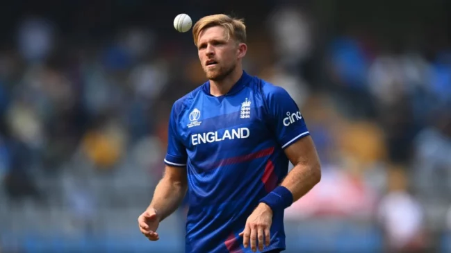 David Willey