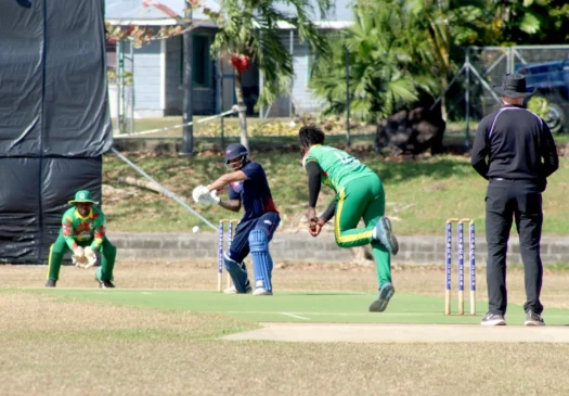 Darius Visser 6 sixes in an over